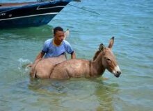 Lamu Island Lamu Island