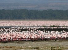 Lake Nakuru Lake Nakuru